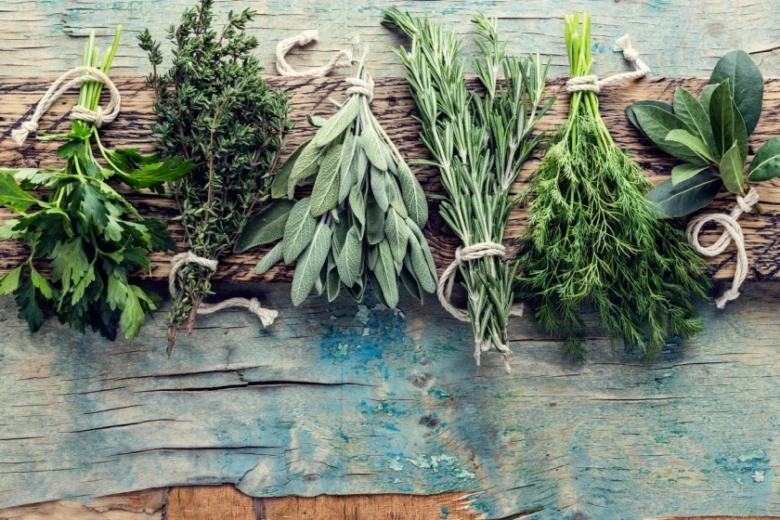 Herbs on wood