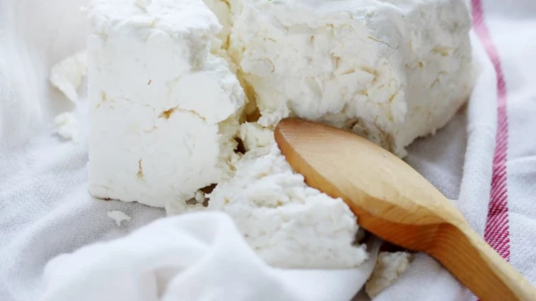 Homemade cottage cheese with wooden spoon