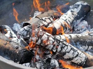 Burning wood logs with ash