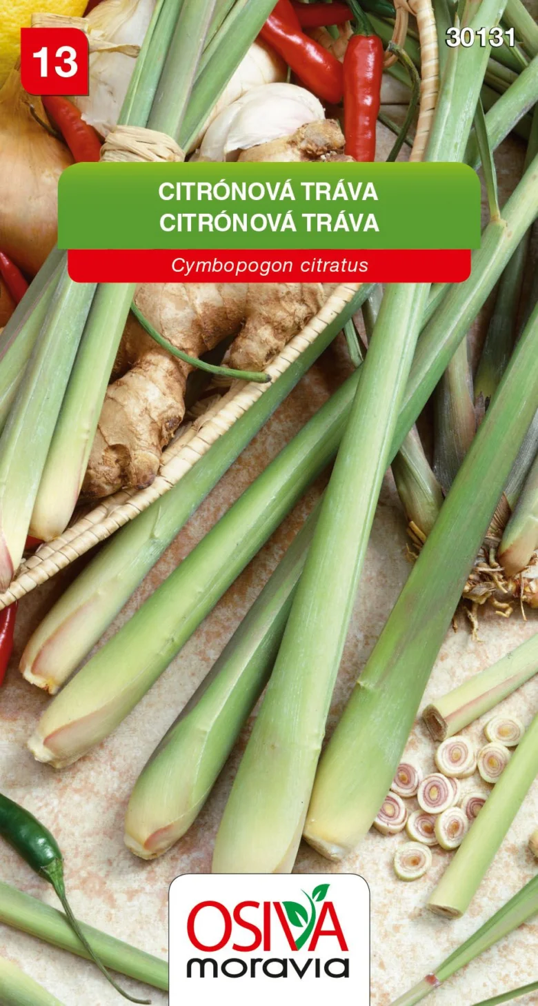 Čerstvé stonky citronové trávy s kořeny a příbuznými bylinami.