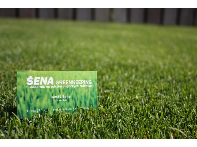 Business card on lawn