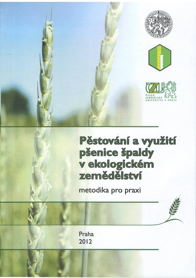 Uzky plany uši špalda pšenice na poli s textem o ekologickém zemědělství.