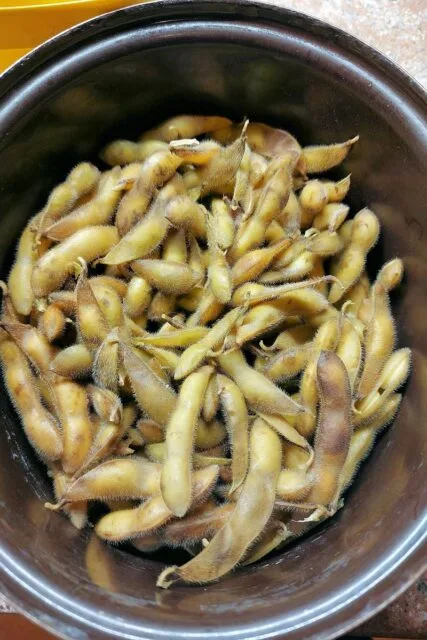 Edamame pods in pot
