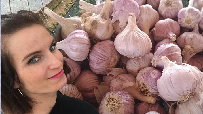 Žena stojí vedle velkého množství česnekových hlaviček.