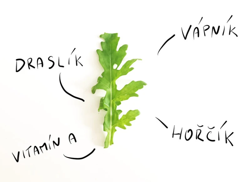 Listina rukoly s rucne psanym popiskem vycitnych prvkov