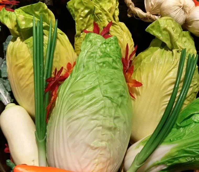 Čerstvé pekingské zelí s cibulkou a další zeleninou v košíku.