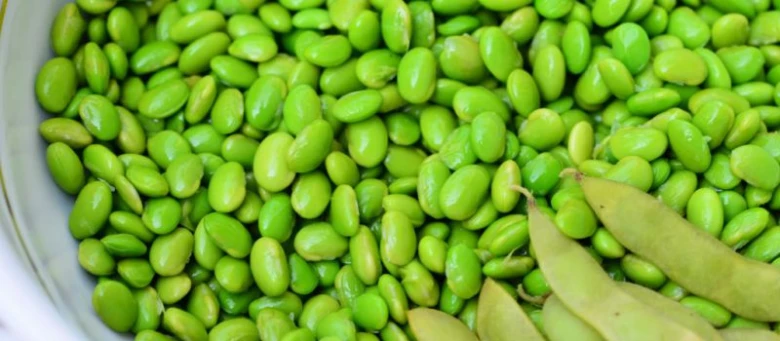 Zelené edamame v lusku a loupaná sójová zrna.
