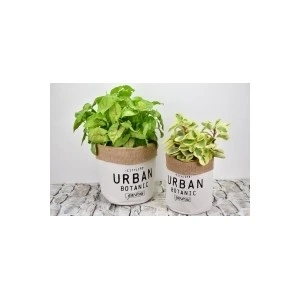 Dvě rostliny v květináčích obalených látkou s nápisem Urban Botanic.
