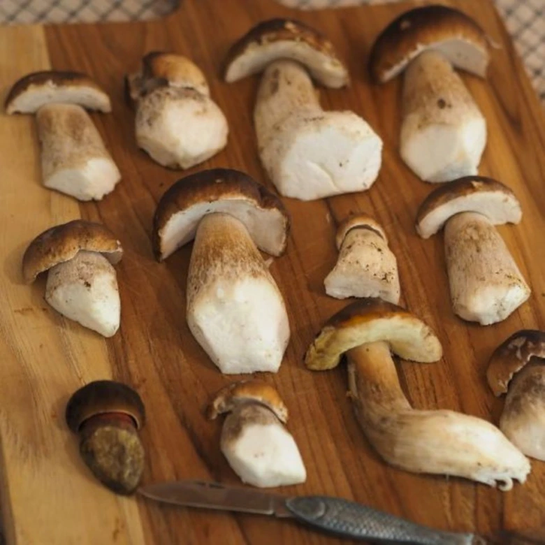 Cut boletus mushrooms on wooden board