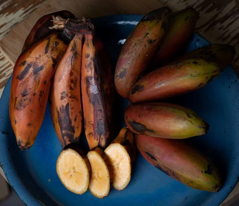 Red bananas on plate