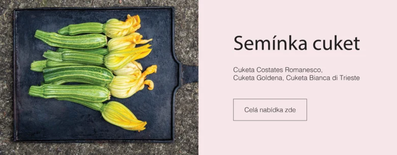 Čerstvá cuketa s květy na tmavém podnosu