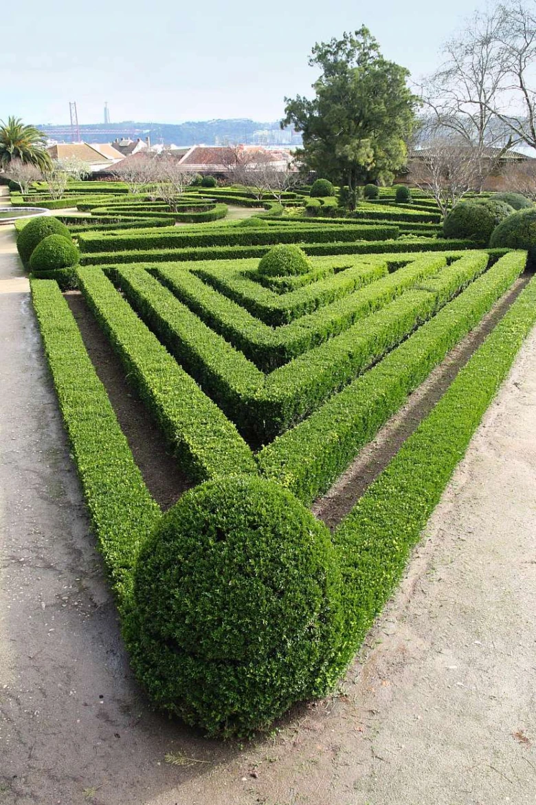 Zelený živý plot tvarovaný do složitých geometrických vzorů.
