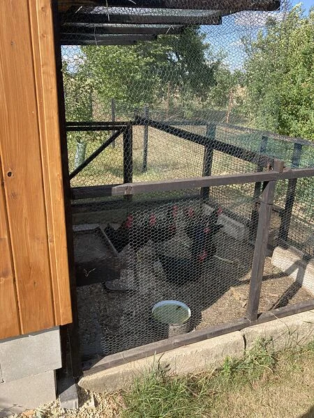 Venkovní výběh pro slepice s krmítkem a vodou u dřevěné budovy.