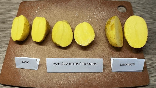 Porovnání brambor uložených ve třech různých podmínkách.