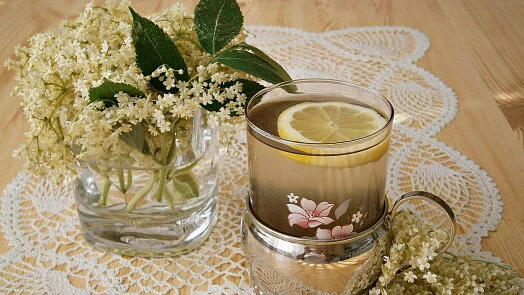 Sklenice bezové limonády s citronem vedle květů bezu