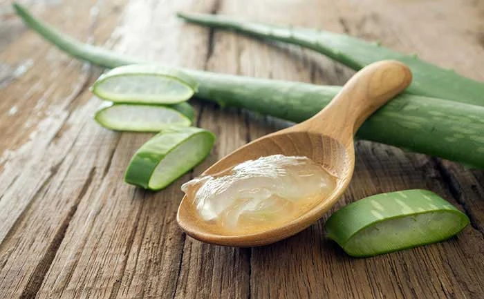 Aloe vera plant and gel