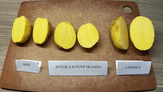 Srovnání brambor uložených v různých podmínkách na dřevěném prknu.