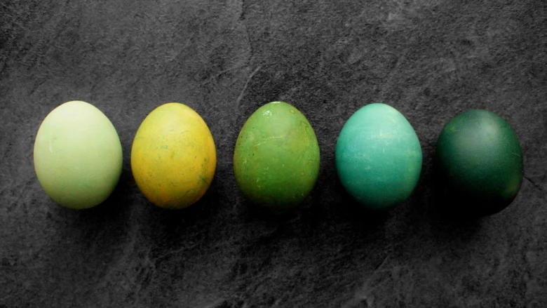 Pět vajíček zbarvených přírodními barvami do různých odstínů zelené.