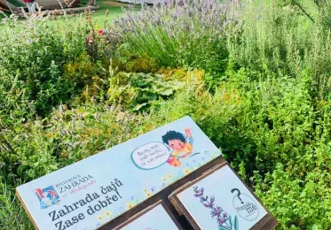 Sonnentor bylinky v zahradě s čajovými krabičkami