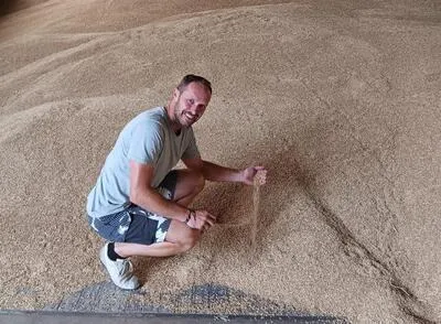 Muž zkoumá zrno ozimého ječmene v silo.